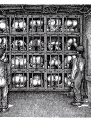 BDSM drawings