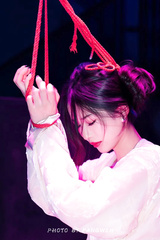 BDSM Collection