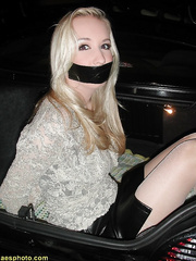 Cyndi Darrow Blondes and Gags2