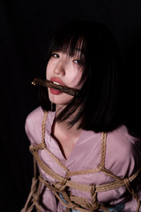 BDSM Collection