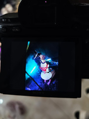 Raiden shogun cosplay bondage
