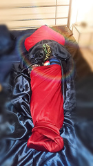 bound in Silk, no escape