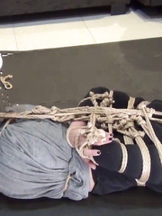 Hemp hogtie and harness