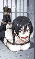 Mikasa