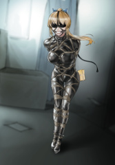 the new bondage picture
