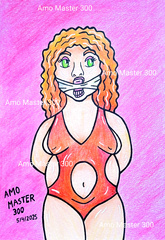 Amo Master 300 drawings