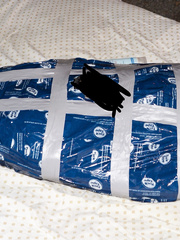 homemade mummification 010
