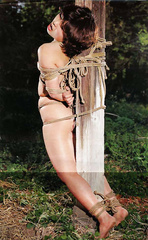 japanese poletied