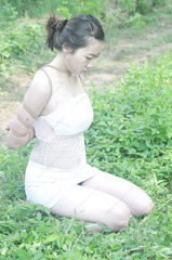 collection16