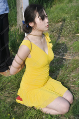 collection32