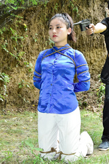 collection49