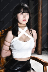 collection80