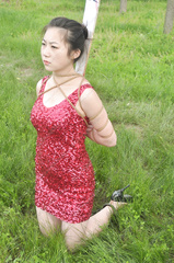 collection97