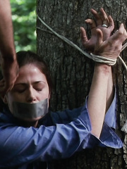 Damsels in Distress in TV and Movies 35