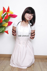 collection104