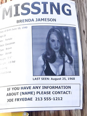 Brenda's Night in the Desert