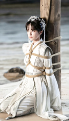 Chinese princess