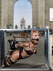 Hogtie display