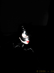 Catwoman captured