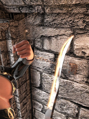 Capture adventure 2
