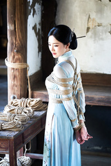 cheongsam