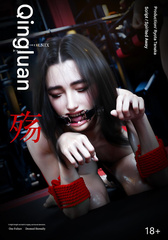 chinese comics 5 translated
