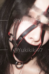 harness gag