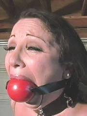 Huge Ball Gags Collection 1