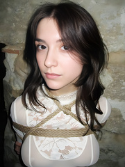 Shibari
