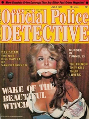 Detective style 1