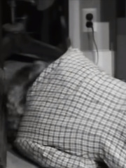 FAvUI 1949