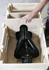 Charlotte brooke in box