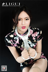 Chinese rigid fiddle