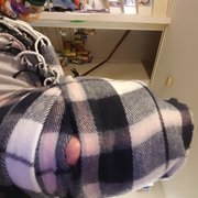 dirtymindedguy@mail.com