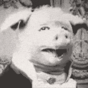 GoodPigsy