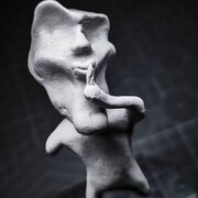 Skerot
