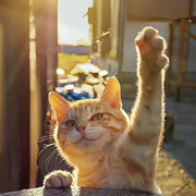 bondagecatcat