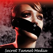 Secret Tunnel Media