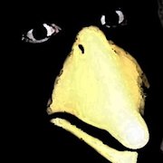 AnnoyingCrow