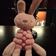 PrisonBunny