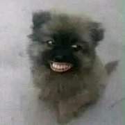 Qwer2