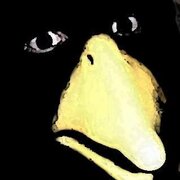 AnnoyingCrow91