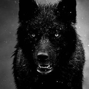mystery_in_the_dark