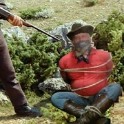 Bound cowboy