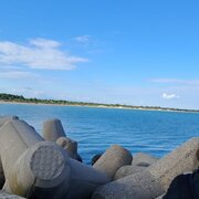 Znetop