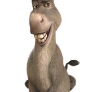 donkey8855