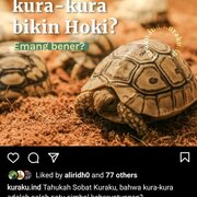 Fira