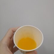 pulat1na