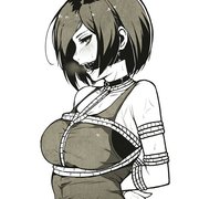 Paketa