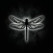 Strekoza_black